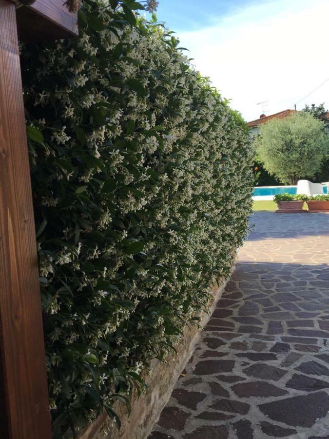 Casa Pietra Del Sole Villa Lucca Ngoại thất bức ảnh